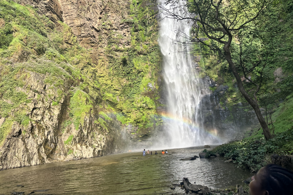 A waterfall with foliage is shown, and rainbow is visible over the lake that is under the waterfall. 