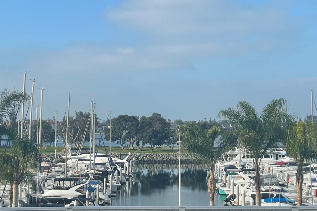 A photo of a harbor in San Diego is shown. Boats line the harbor and palm trees are visible around them. Wispy clouds appear in the sky.